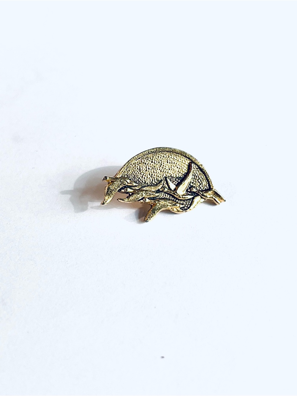 The Master Teacher Award Leadership Lessons From Geese Lapel Tack Pin